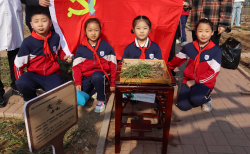 点击查看原始图片